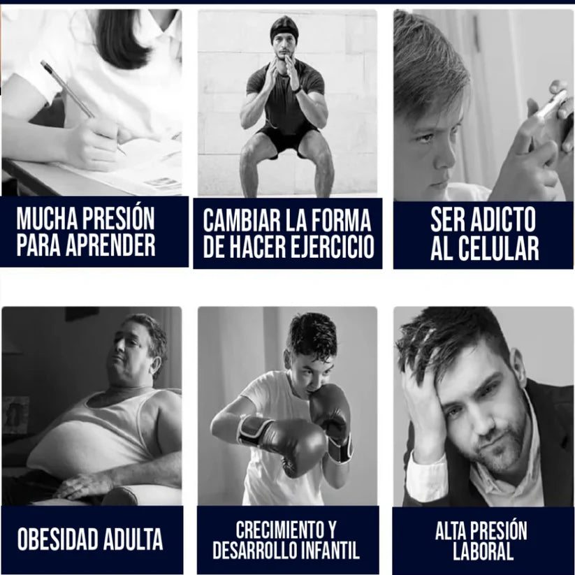 KnockFit Pro Producto Tendencia USA